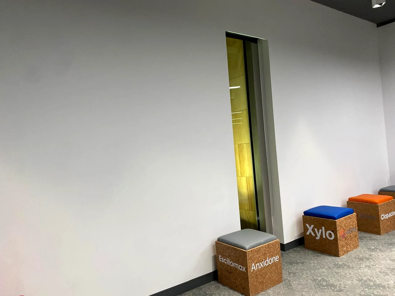 Painting & Interior Finish